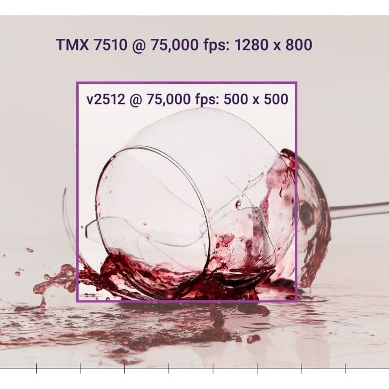 TMX_Wineglass